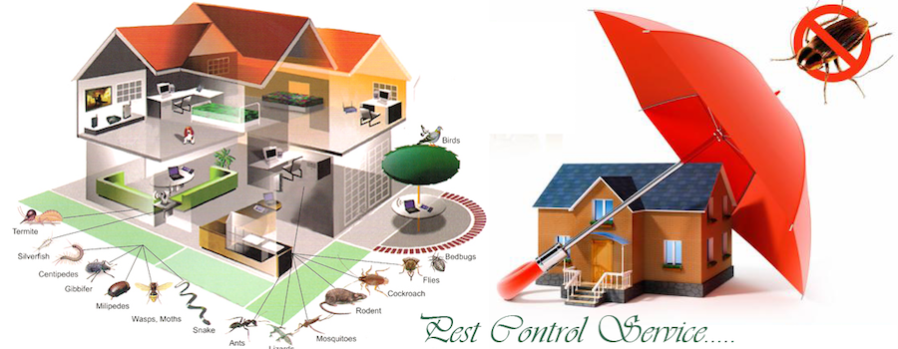 Pest Control Companies in BD